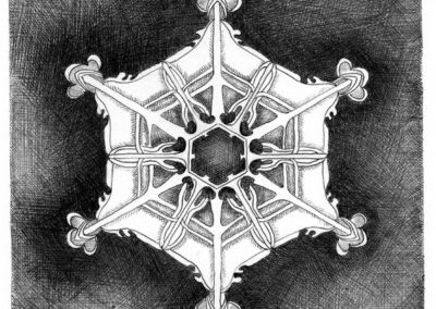 Snowflake III - biro on paper