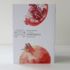 Pomegranate slice A6 card